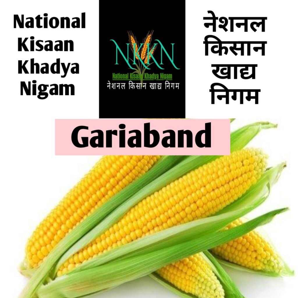 NKKN: National Kisaan Khadya Nigam Processing Unit in Gariaband District CHHATTISGARH